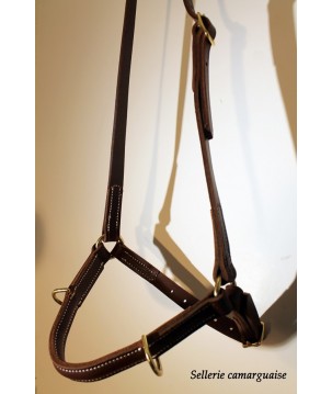 Caveçon à anneaux avec ferrure