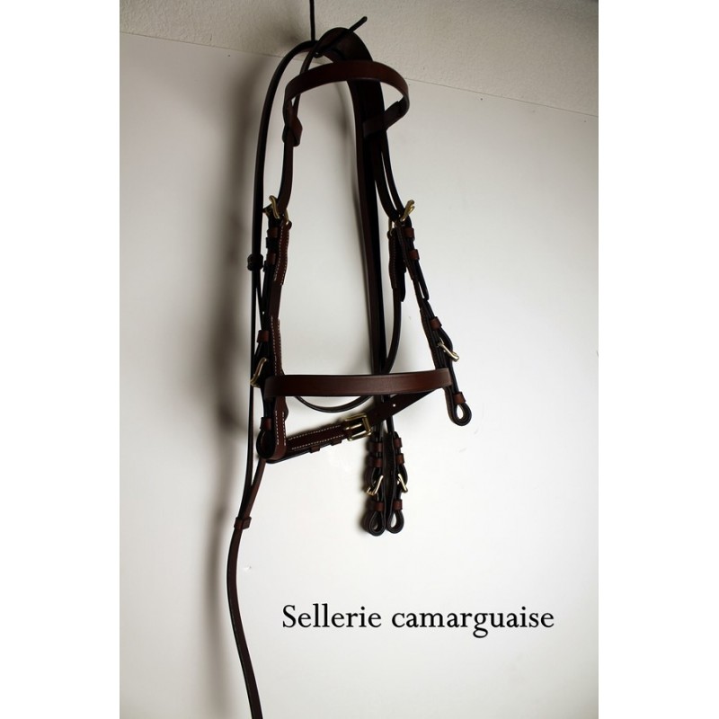 Bride & rênes Camargue