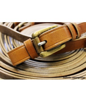 Guide d'attelage convertibles