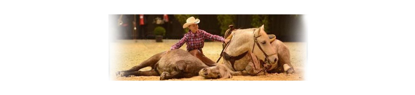 Equipement du cheval