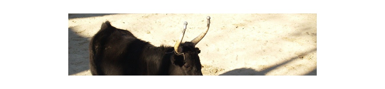 Tauromachie camarguaise