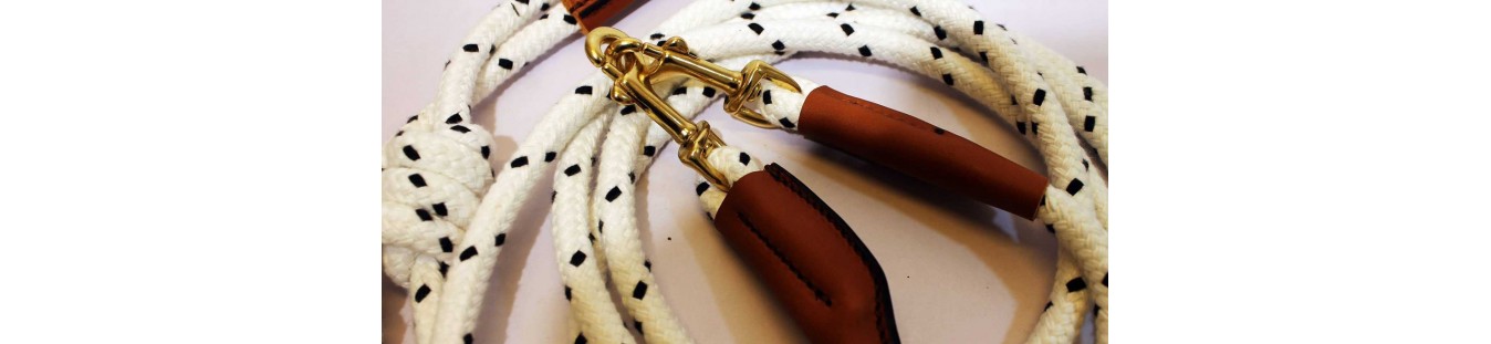 Harnachement camargue